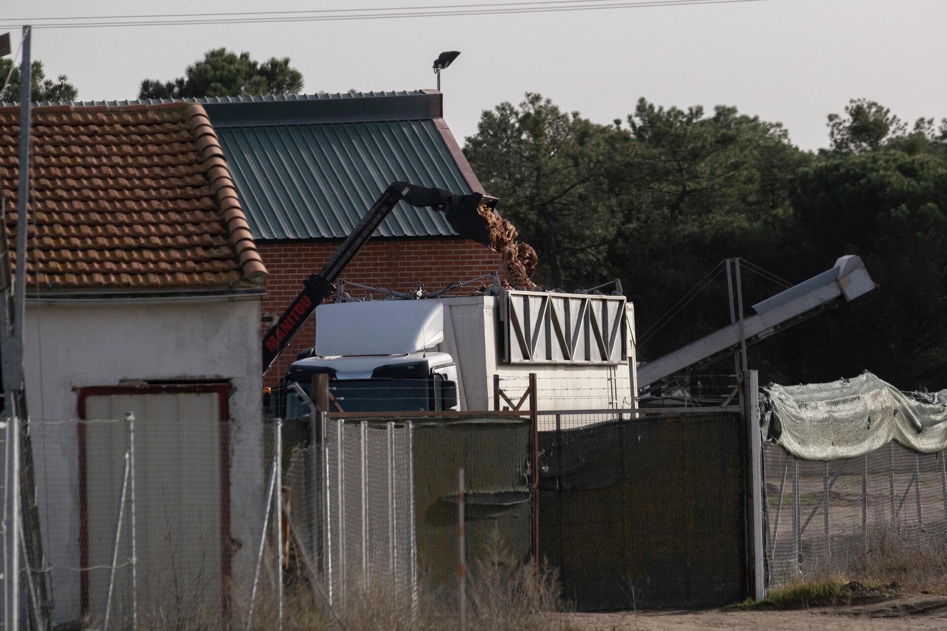 Gallinas sacrificadas por un brote de gripe aviar en una macrogranja en Valladolid Gallinas sacrificadas por un brote de gripe aviar en una macrogranja en Valladolid - Sputnik Mundo, 1920, 11.02.2022