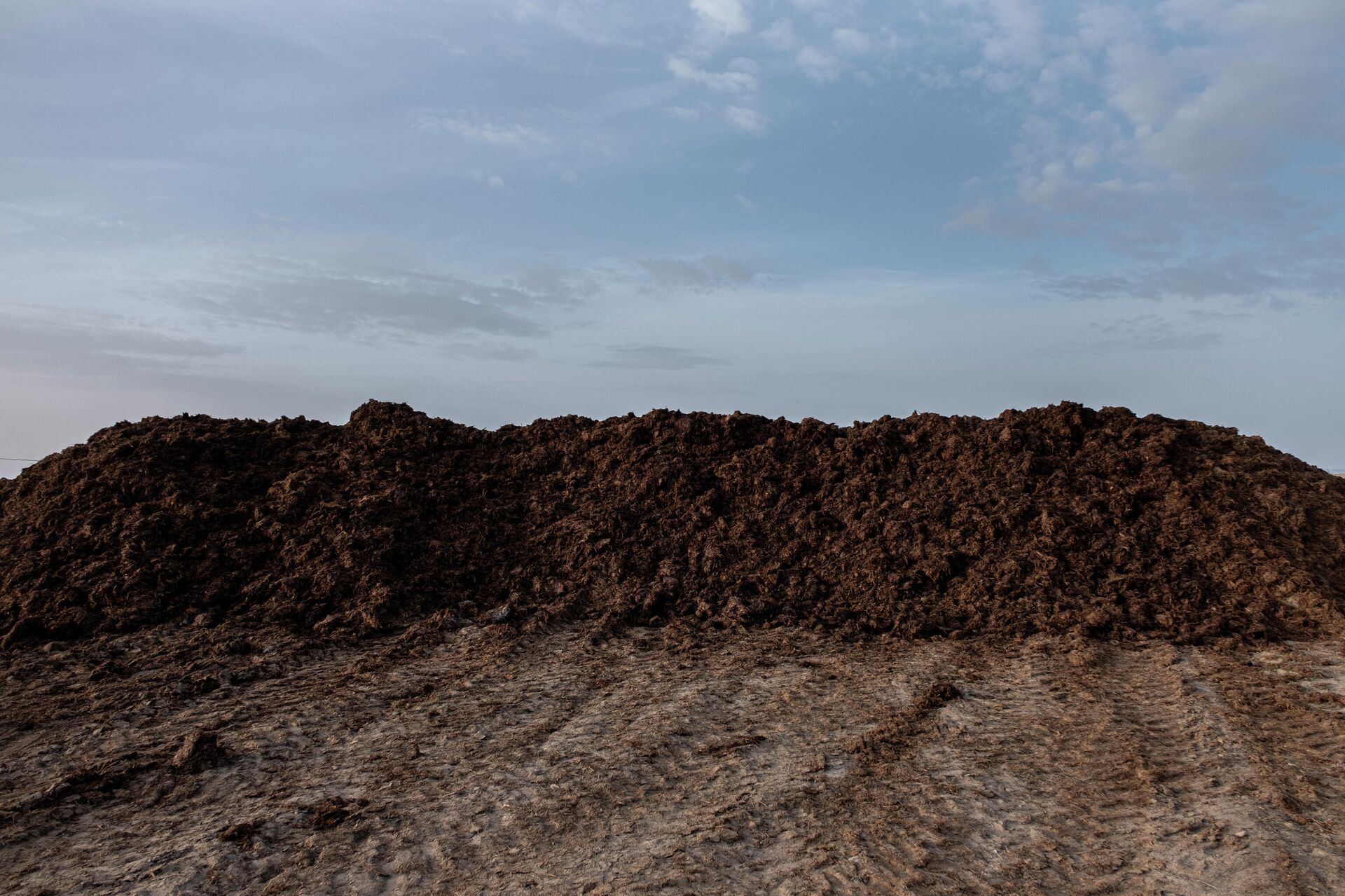Montaña de estiércol de animales de las macrogranjas Montaña de estiércol de animales de las macrogranjas - Sputnik Mundo, 1920, 11.02.2022