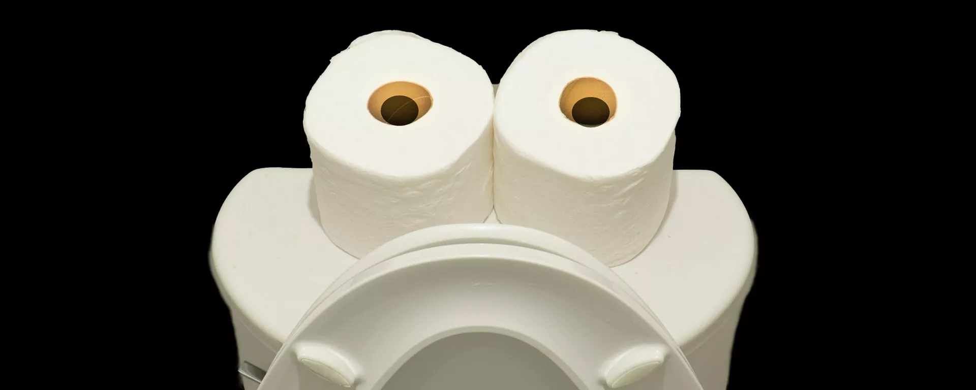 Rollos de papel higiénico Rollos de papel higiénico - Sputnik Mundo, 1920, 11.02.2022