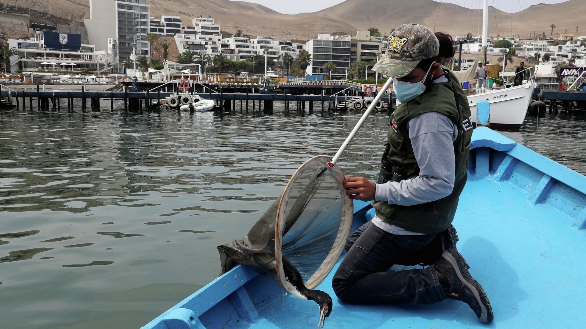 La situación en aguas del Pacífico de Perú tras un derrame de miles de barriles de crudo La situación en aguas del Pacífico de Perú tras un derrame de miles de barriles de crudo - Sputnik Mundo, 1920, 12.02.2022