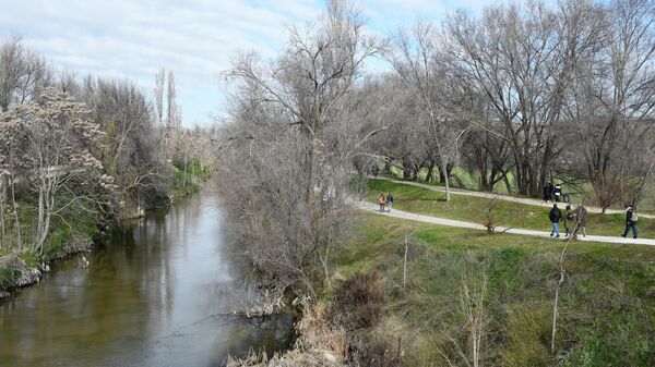 Río Manzanares (Madrid) - Sputnik Mundo