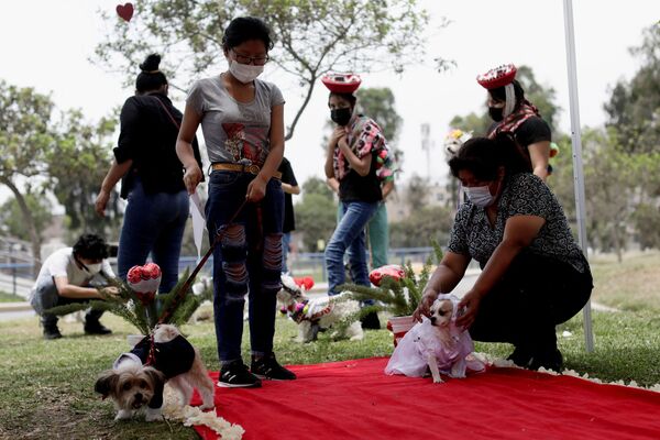 El acto simbólico coincidió con el día del amor, San Valentín. - Sputnik Mundo