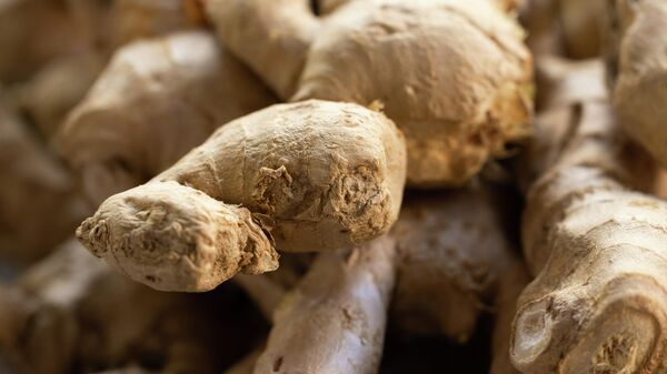 Planta de jengibre - Sputnik Mundo