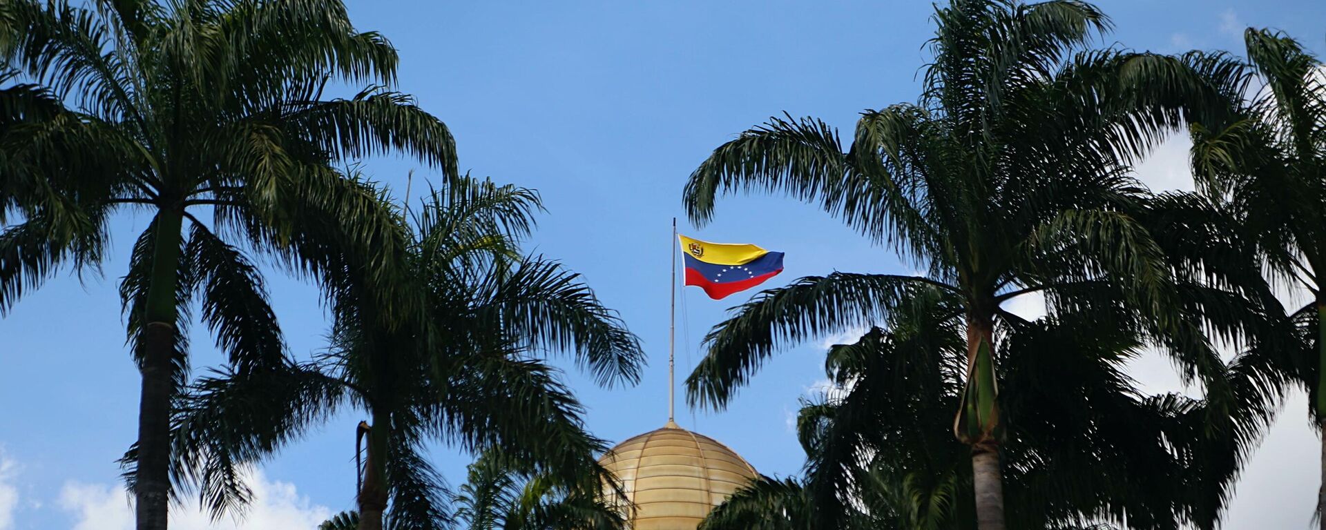 La bandera venezolana flamea en el Palacio Federal Legislativo en Caracas - Sputnik Mundo, 1920, 12.09.2024