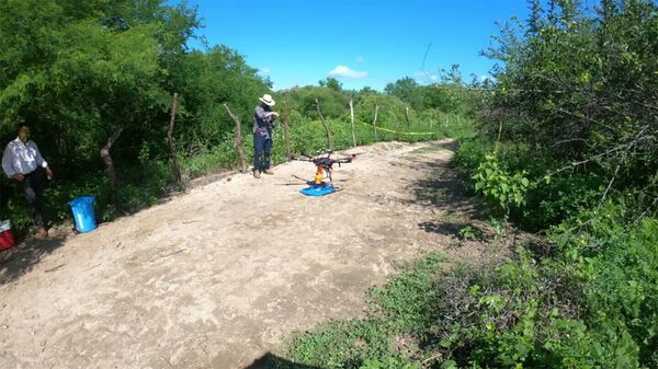 Uso de drones para reforestar bosques en México - Sputnik Mundo