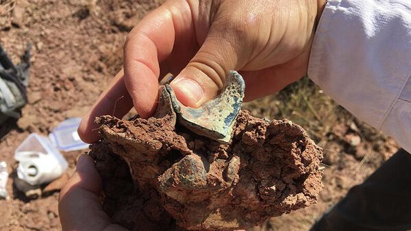 Los restos fósiles de un animal de origen asiático - Sputnik Mundo