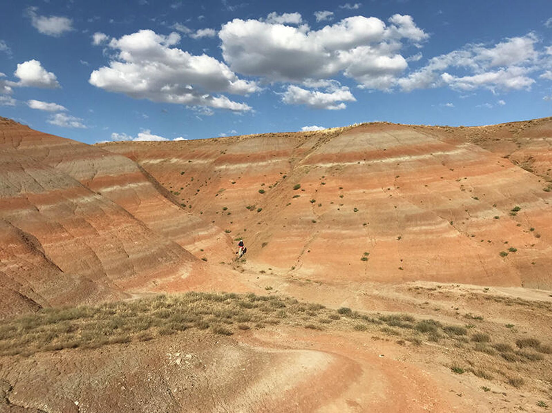 Un sitio de excavaciones fósiles en Turquía - Sputnik Mundo, 1920, 22.02.2022
