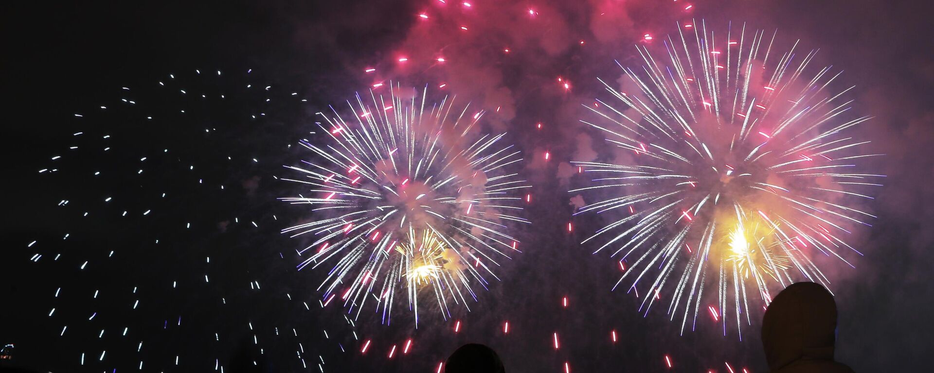 Los fuegos artificiales por el Día del defensor de la patria - Sputnik Mundo, 1920, 31.07.2022