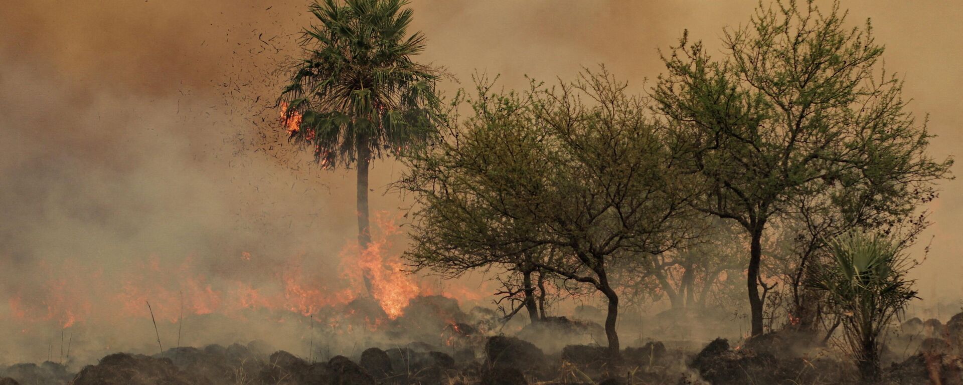 Incendios forestales en Argentina - Sputnik Mundo, 1920, 23.02.2022