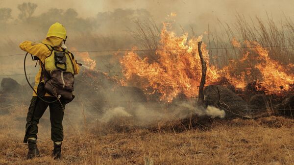 Incendios forestales en Argentina - Sputnik Mundo