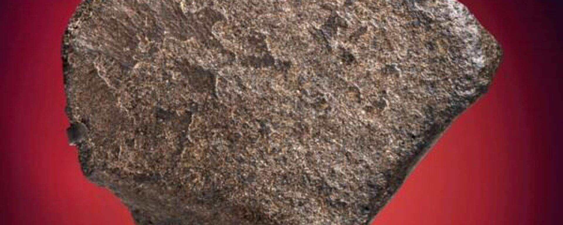 La tercera roca más grande proveniente de Marte intentó ser subastada - Sputnik Mundo, 1920, 25.02.2022