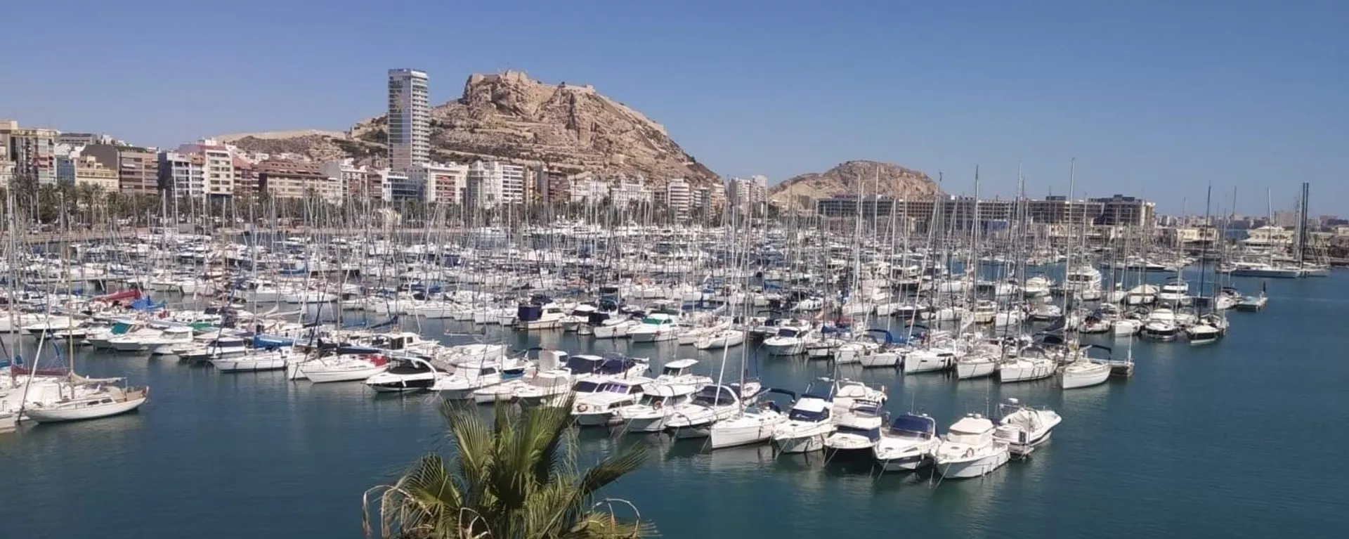 Puerto de Alicante Puerto de Alicante - Sputnik Mundo, 1920, 01.03.2022