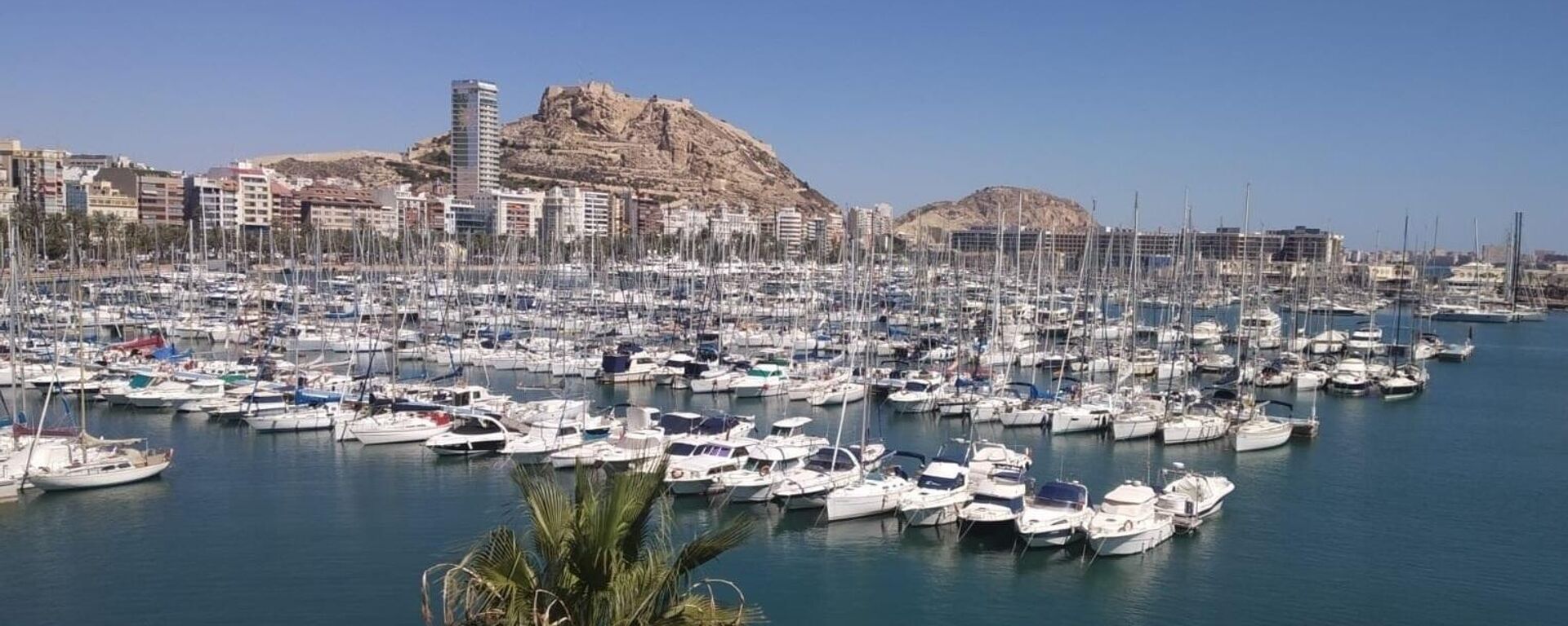 Puerto de Alicante - Sputnik Mundo, 1920, 01.03.2022