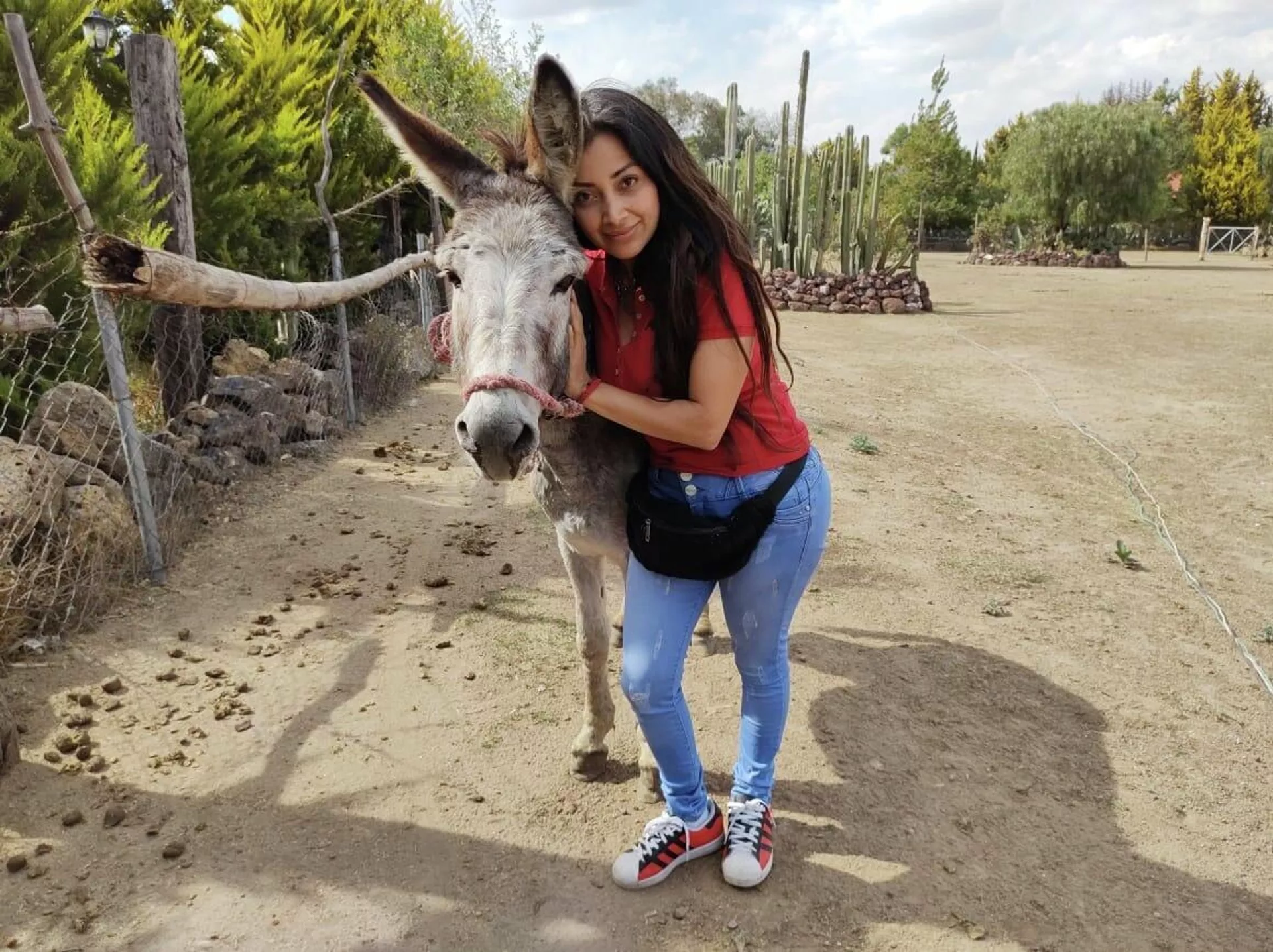 Visitantes en compañía de los burros.