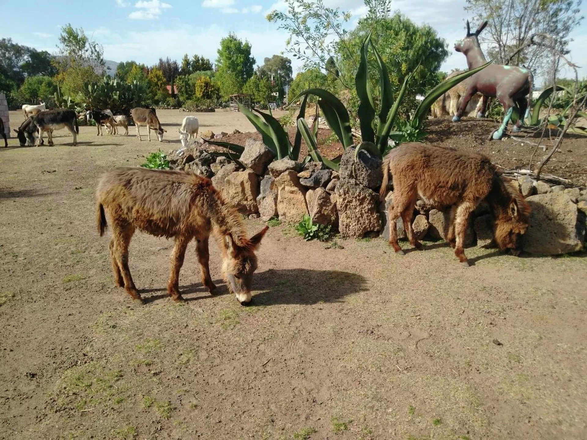 Este refugio se ubica en las inmediaciones de la zona arqueológica de Teotihuacán. Este refugio se ubica en las inmediaciones de la zona arqueológica de Teotihuacán.