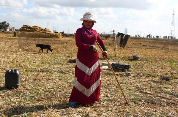 Los beduinos son miembros del mundo árabe que llevan un modo de vida nómada, alejado de las civilizaciones convencionales. Este término designa a todos los árabes nómadas, independientemente de su nacionalidad o religión. En la foto: Safa, una adolescente beduina de 15 años en un campamento de la provincia egipcia de Kafr El-Sheij. - Sputnik Mundo
