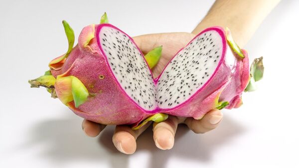 Fruta del dragón o pitahaya - Sputnik Mundo