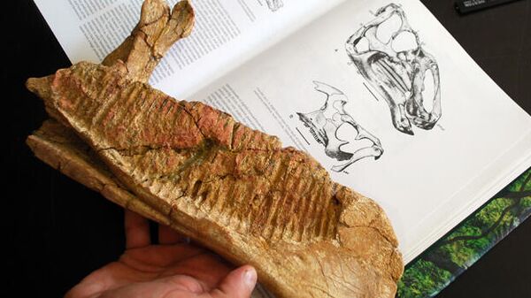 Hadrosaurio, especie de dinosaurio  - Sputnik Mundo