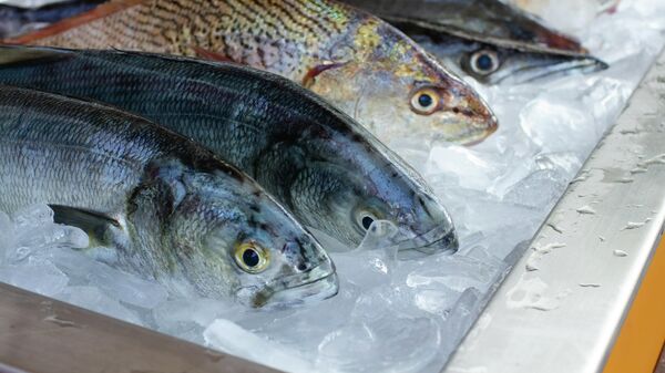 Pescados en exhibición - Sputnik Mundo