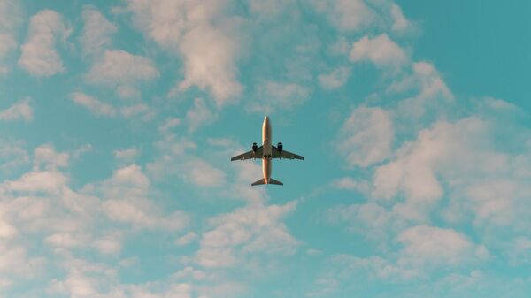 Avión en vuelo - Sputnik Mundo