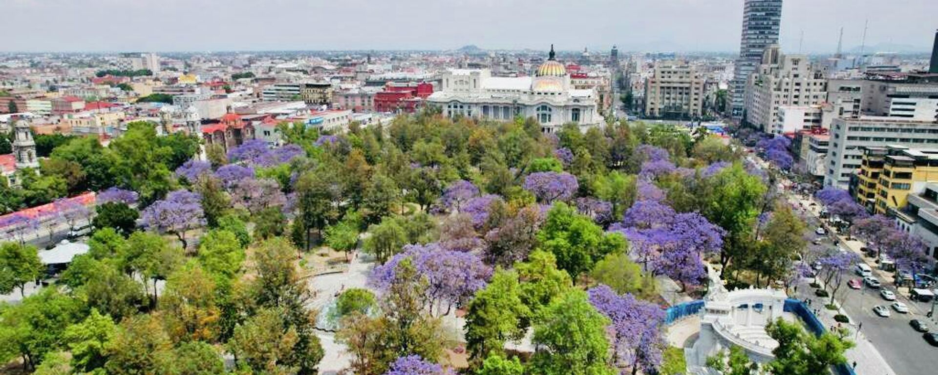 Postal de la Ciudad de México compartida por la jefa de gobierno, Claudia Sheinbaum.  - Sputnik Mundo, 1920, 31.03.2022