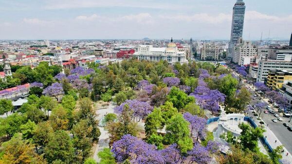 Postal de la Ciudad de México compartida por la jefa de gobierno, Claudia Sheinbaum.  - Sputnik Mundo