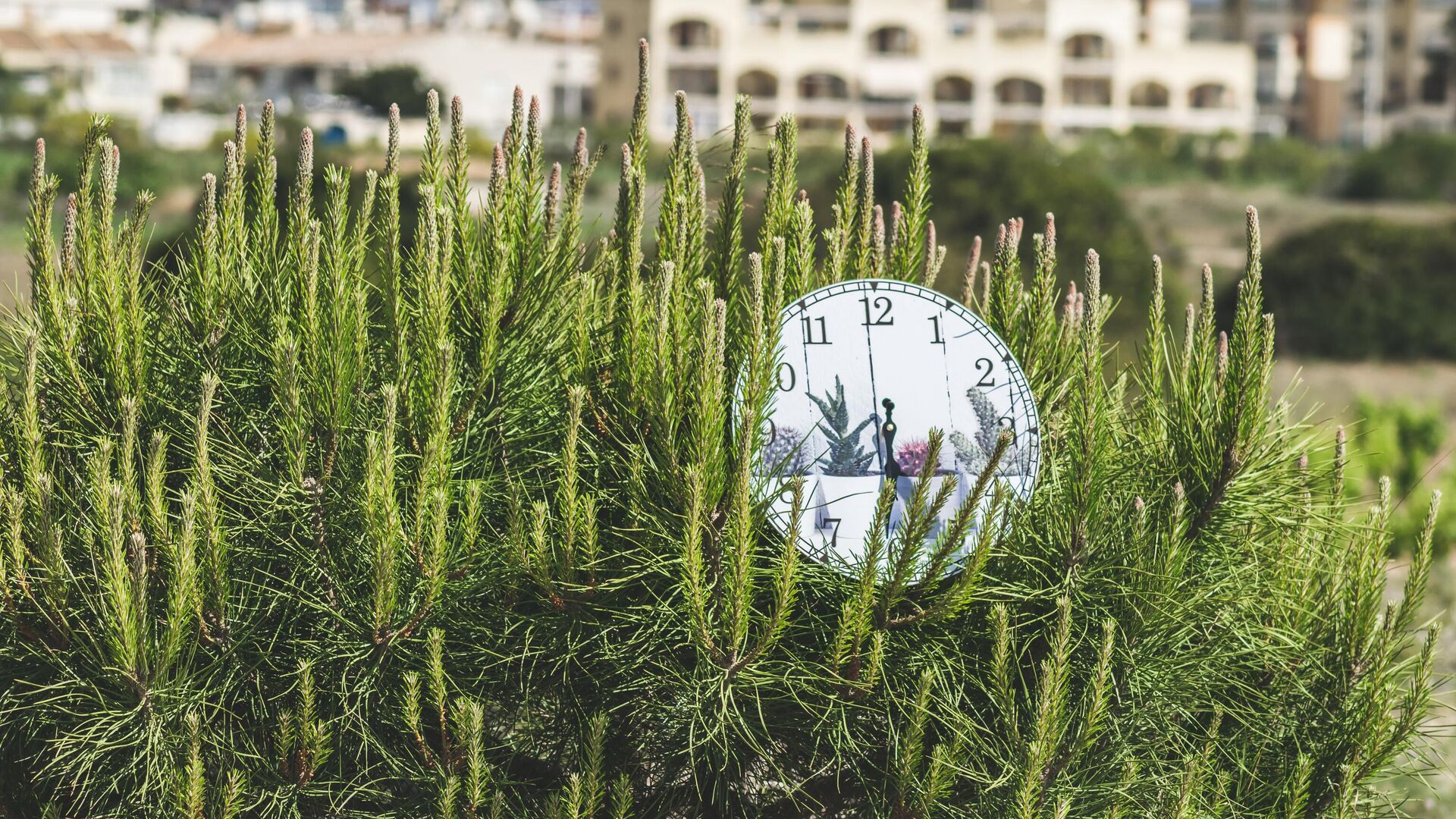 Reloj Reloj - Sputnik Mundo, 1920, 24.03.2022