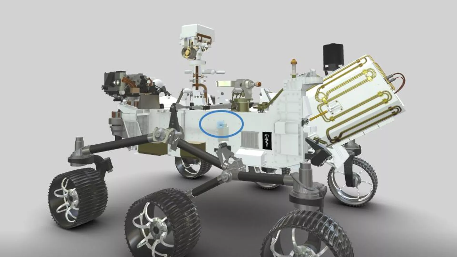 El micrófono para grabar los sonidos de Entrada, Descenso y Aterrizaje (EDL, por sus siglas en inglés) (azul) conectado al lado izquierdo del rover