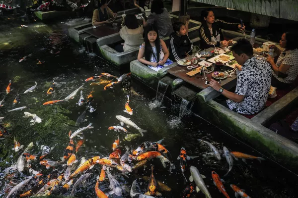Los clientes de un restaurante de mariscos en la provincia de Chiang Mai, Tailandia, observan a varios tipos de peces nadando a pocos centímetros de ellos. Los clientes de un restaurante de mariscos en la provincia de Chiang Mai, Tailandia, observan a varios tipos de peces nadando a pocos centímetros de ellos. - Sputnik Mundo