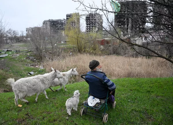 Un hombre pastea a sus cabras en las afueras del distrito de Levoberezhni en la ciudad de Mariúpol. Un hombre pastea a sus cabras en las afueras del distrito de Levoberezhni en la ciudad de Mariúpol. - Sputnik Mundo