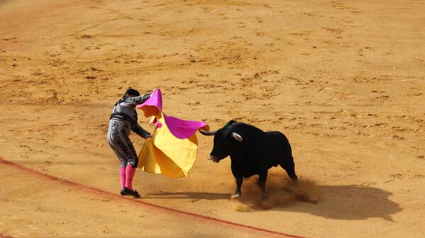 Corrida de toros - Sputnik Mundo