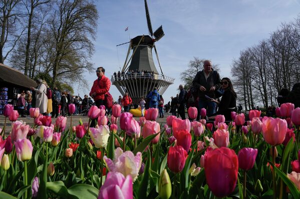 Los visitantes admiran las flores en el jardín de flores Keukenhof, en Lisse, Países Bajos. - Sputnik Mundo