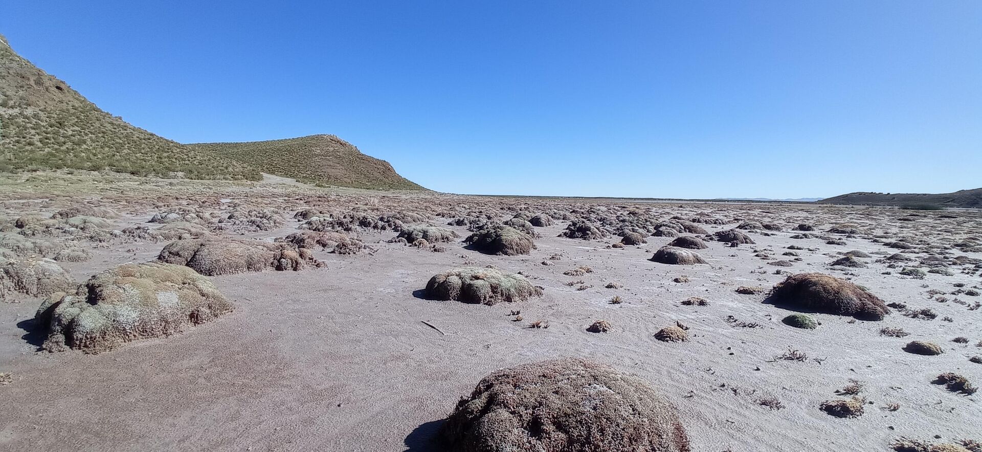 En este territorio seco Pauwels propone la siembra de agua - Sputnik Mundo, 1920, 22.04.2022