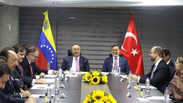 El canciller de Venezuela, Félix Plasencia, con su homólogo de Turquía, Mevlut Cavusoglu - Sputnik Mundo