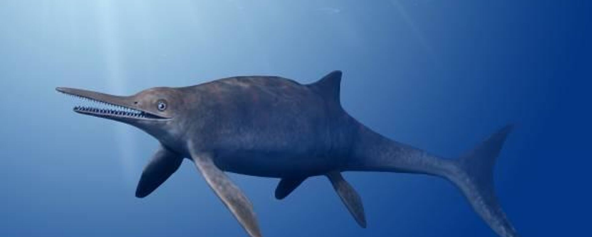 Ictiosaurio (reconstrucción gráfica) - Sputnik Mundo, 1920, 19.03.2023