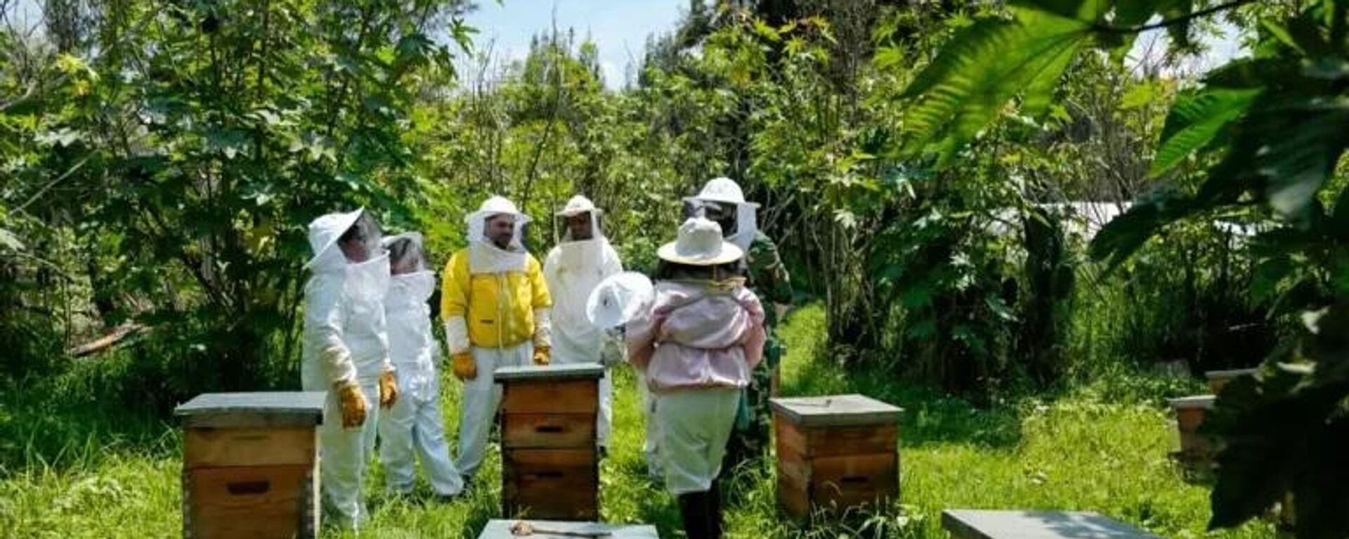 Apiario xochimilca - Sputnik Mundo, 1920, 08.05.2022