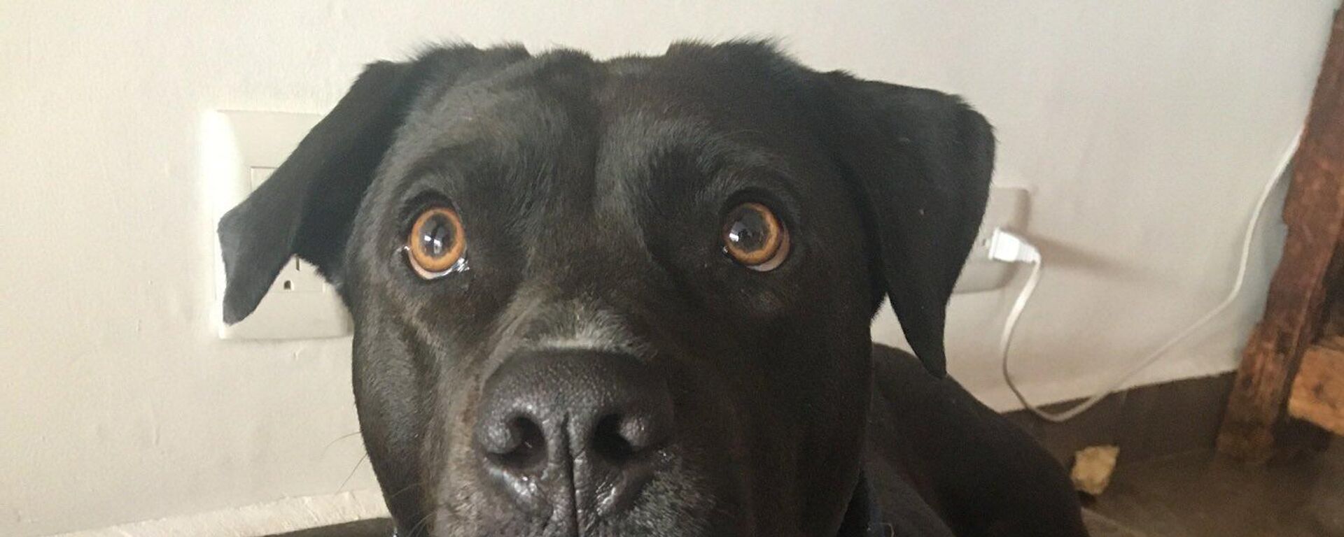 Ofelia  - Sputnik Mundo, 1920, 03.05.2022