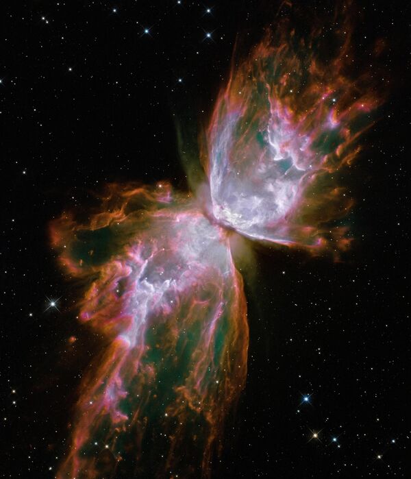 La nebulosa bipolar de la Mariposa (NGC 6302) se encuentra en la constelación de Escorpio a una distancia de 3.800 años luz. Las alas de esta nebulosa, que tiene una de las estructuras más complejas, se extienden a tres años luz de distancia. La nebulosa fue descubierta en 1880 por el astrónomo estadounidense Edward Emerson Barnard y su estrella central fue descubierta por el telescopio Hubble en 2009. - Sputnik Mundo