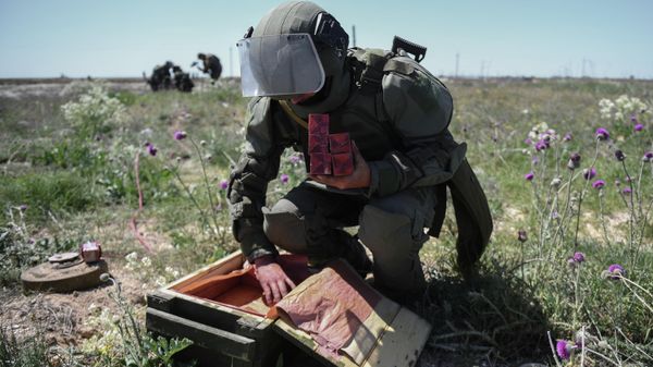 Un militar ruso Un militar ruso - Sputnik Mundo