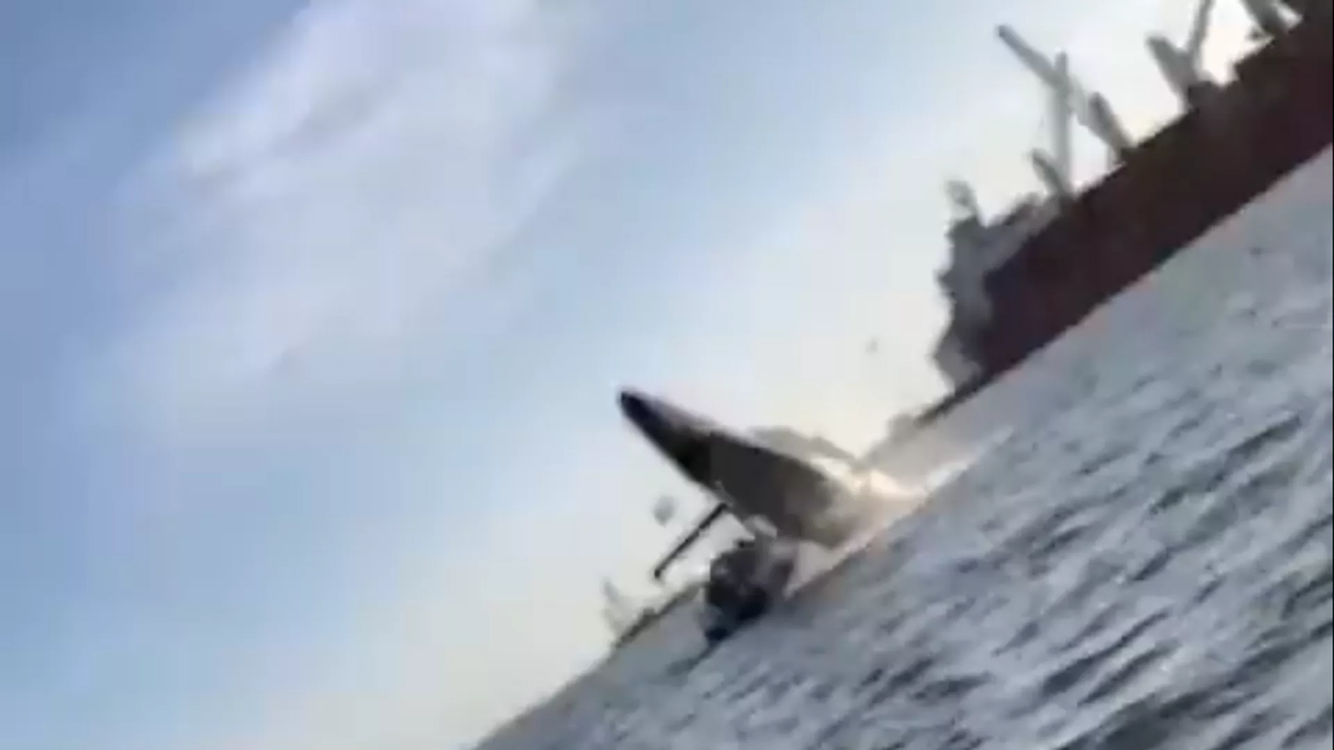 Una ballena aplasta una lacha en Sinaloa