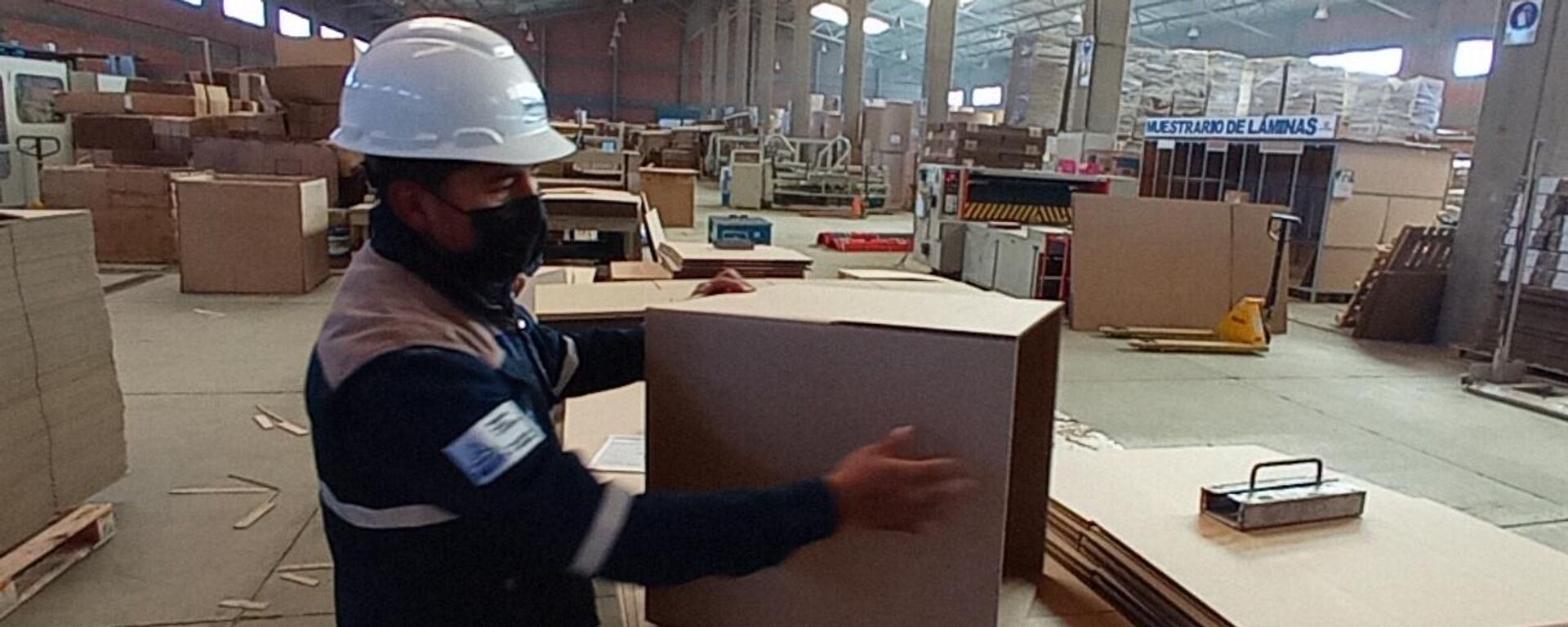 Cartonbol, empresa estatal boliviana que fabrica, láminas, cajas y muebles de cartón - Sputnik Mundo, 1920, 24.05.2022