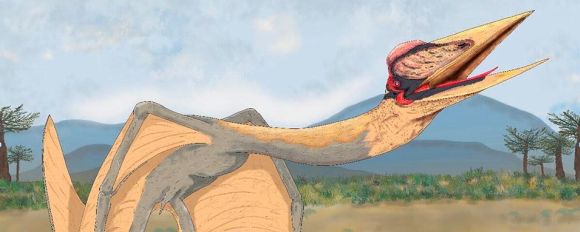 El 'Dragón de la muerte', el mayor reptil volador de Sudamérica - Sputnik Mundo, 1920, 25.05.2022