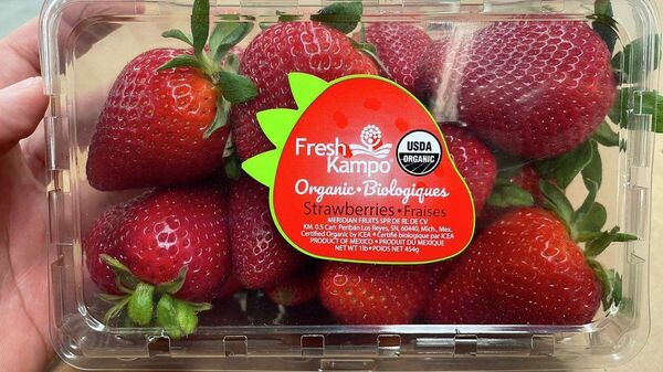 Fresas de FreshKampo que se comercializan en Estados Unidos, Canadá, Europa y Oriente Medio - Sputnik Mundo