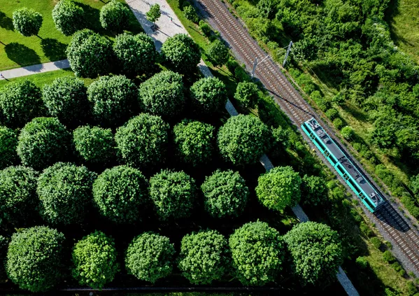 Una línea de metro que pasa por un parque de Fráncfort del Meno, en Alemania. Una línea de metro que pasa por un parque de Fráncfort del Meno, en Alemania. - Sputnik Mundo