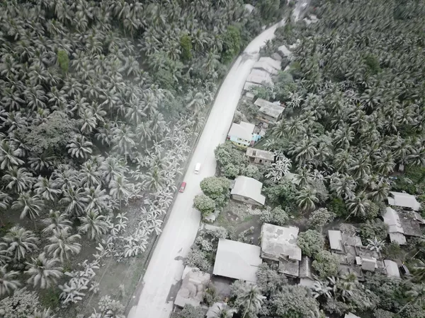 La erupción fue precedida por una serie de terremotos en las zonas vecinas del volcán: se registraron al menos 77 sismos en un solo día.En la foto: las plantas cubiertas de ceniza volcánica en la zona de Juban. La erupción fue precedida por una serie de terremotos en las zonas vecinas del volcán: se registraron al menos 77 sismos en un solo día.En la foto: las plantas cubiertas de ceniza volcánica en la zona de Juban. - Sputnik Mundo