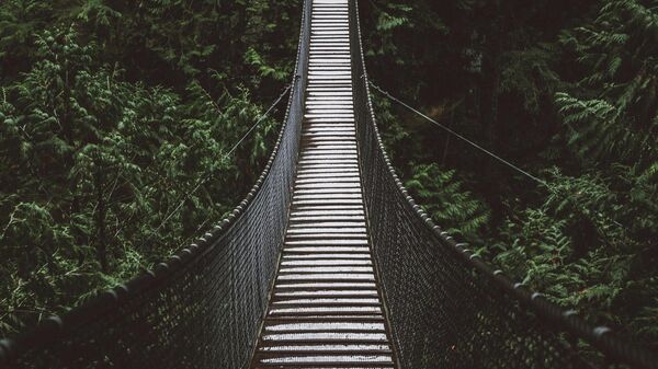 Puente colgante (imagen referencial) - Sputnik Mundo