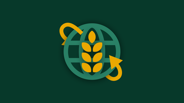 Mercado mundial del trigo: los principales proveedores y compradores - Sputnik Mundo