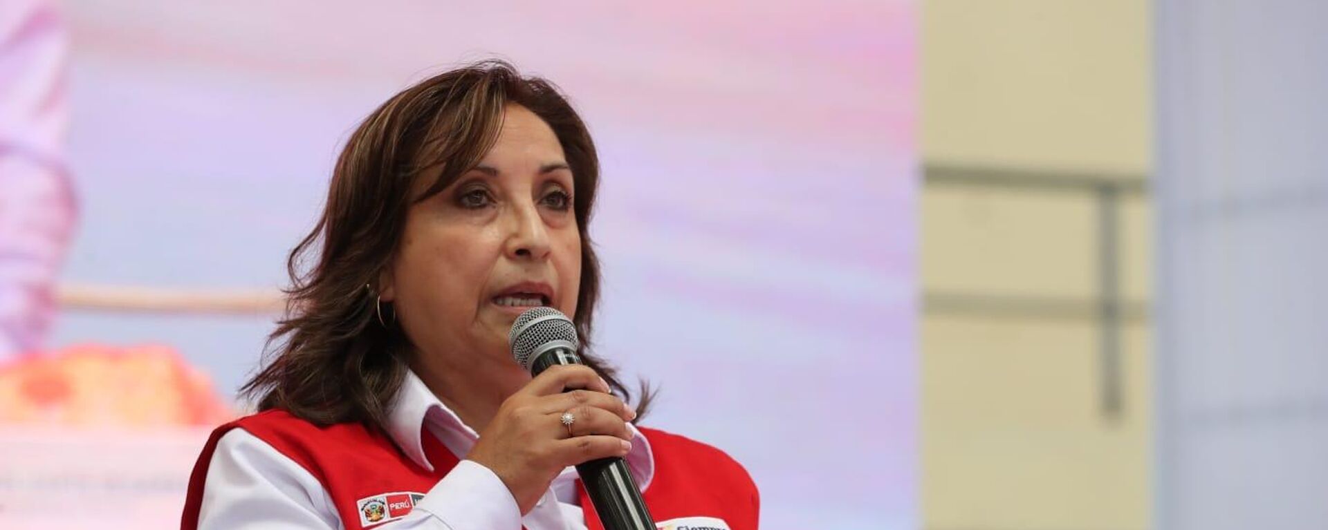 Vicepresidenta de Perú, Dina Boluarte - Sputnik Mundo, 1920, 14.06.2022