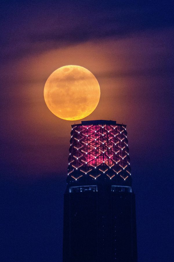 La luna de fresa detrás del rascacielos Exchange 106, también conocido como TRX Tower en Kuala Lumpur, Malasia. - Sputnik Mundo