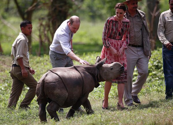 La relación de Wlliam con su hermano menor Enrique, que ha renunciado a la familia real y se ha ido a vivir a Estados Unidos con su esposa, la actriz estadounidense Meghan Markle, sigue siendo fría.En la foto: el príncipe Guillermo y su esposa Catalina en el Parque Nacional de Kaziranga, en Assam, durante una visita a la India, 2016. - Sputnik Mundo